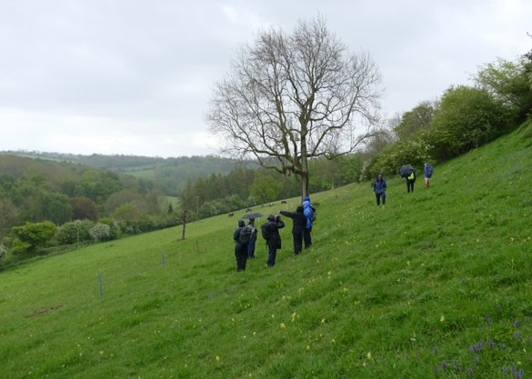 Ryenats members in meadow