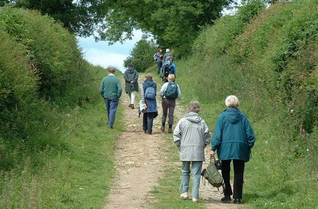 View of South Ings Lane