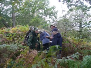 group in oak forest