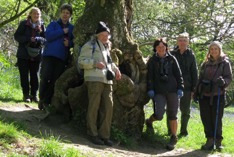 Ryedale Members at ancient ash