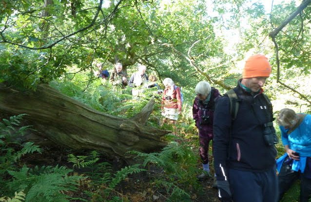 Ryenats members in the woods