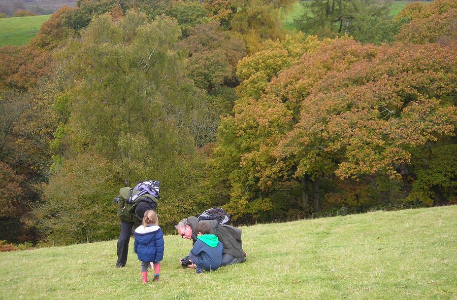 Waxcap hunters