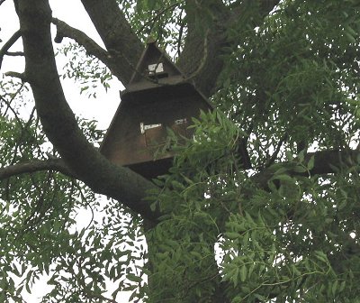 Barn owl box