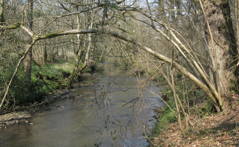 View of river